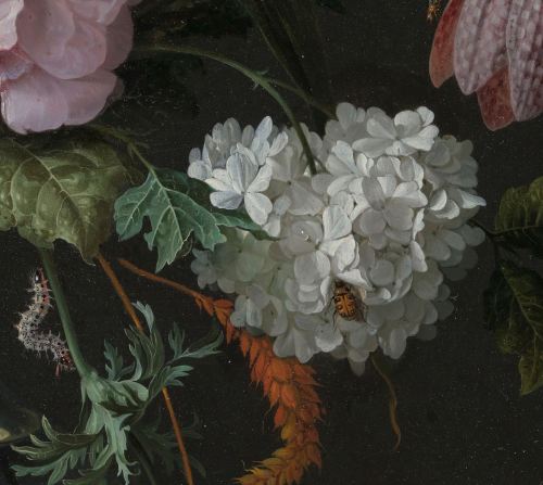 Jan Davidsz. de Heem, Still Life with Flowers in a Glass Vase (detail), 1650 - 1683. Oil on copper, 