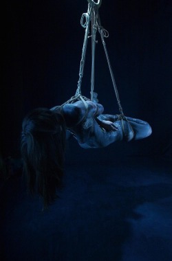 thevertigonetwork:  Shibari &amp; Photo Daniel NguyenModel Céline