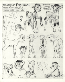 the-disney-elite:Original model sheets from Walt Disney’s Ferdinand