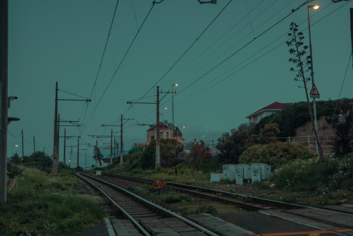 Elsa Bleda (French-Turkish, b. 1988, Aix-les Bains, France, based Johannesburg, South Africa) - Unti