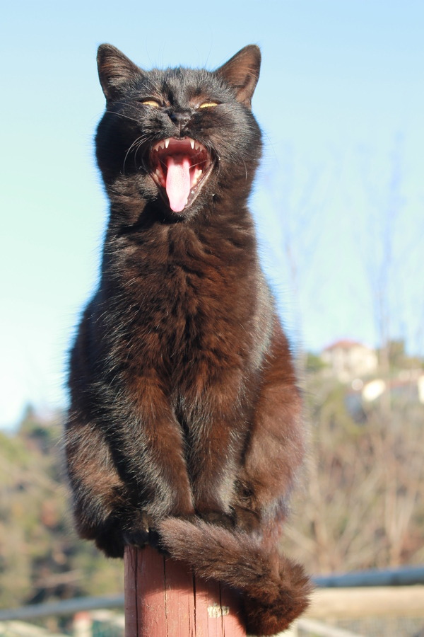 Happy New Year!
Photo by ©Elena Saroldi