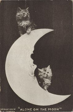 retrogasm:  It’s only a paper moon