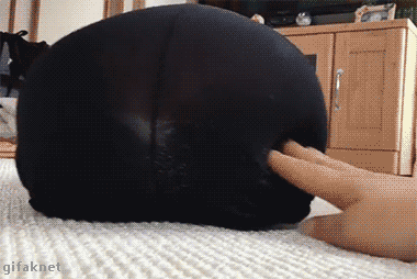 lperezidente:  Thicc  😂😂😂