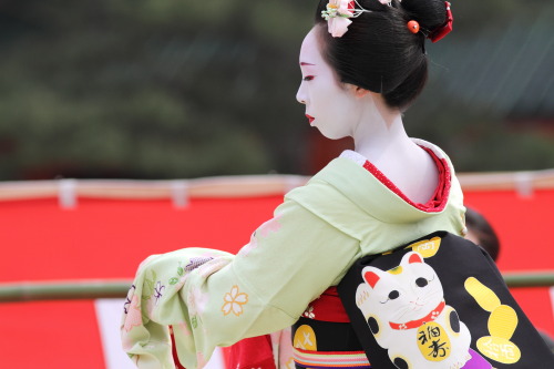 furisode-shoujo:This spring coordinate owned by Ninben okiya (Gion Kobu) is for senior maiko, and 