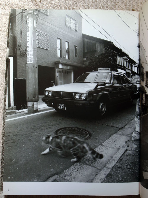 1. Nobuyoshi Araki, Neko-machi: Living Cats in Tokyo, Heibonsha, 19932. Yanaka, Tokyo, August 2021