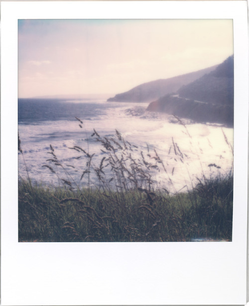 Au débutQuelque part en AustraliePolaroid SLR670-S, Polaroid Originals Color 600