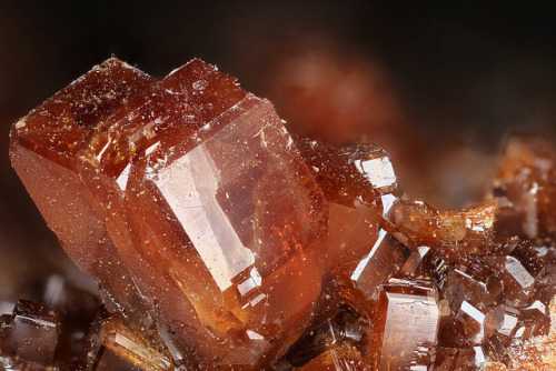 Vanadinite by Macroscopic Solutions on Flickr.More Photography here.