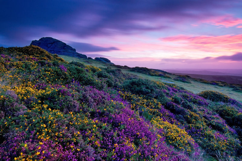 renamonkalou: Devon Landscapes | Alan Howe  