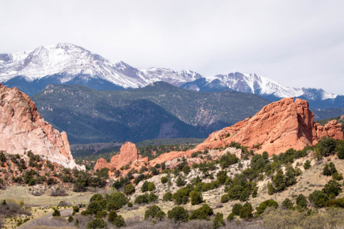 the-pasta-pack:  Garden of the Gods.