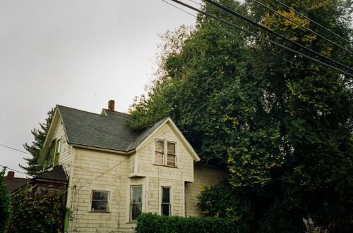 tree vs home