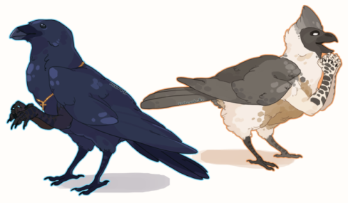 aerokiinesis: koshkaah-fr: The best thing about my harpy OCs, though, is that they can shift into th