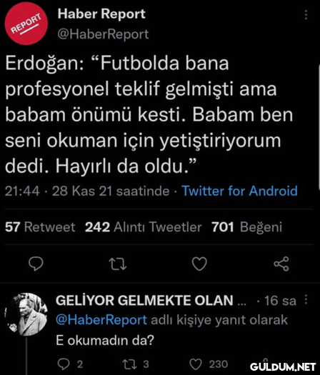 REPORT Haber Report...