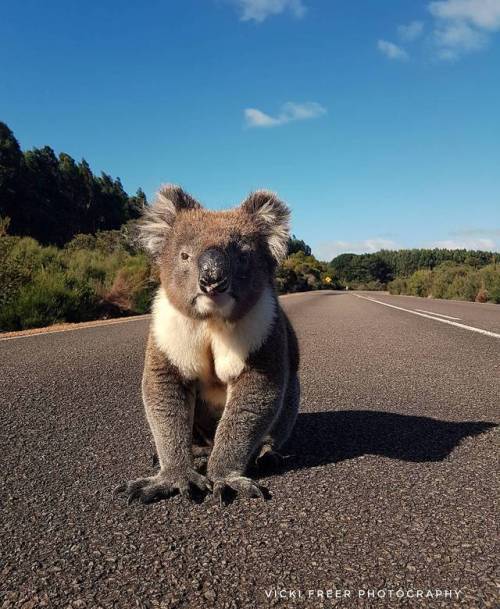 featureshoot:#Australian photographer Vicki porn pictures