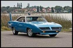 musclecardreaming:  1970 Plymouth Superbird.