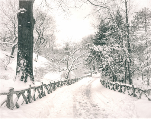 nythroughthelens: New York City - Winter - Central Park’s Most Beautiful Views —- One of