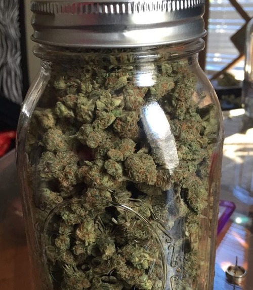 caribbeanthug: More dope shit here