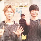 myb2utymelody:  kpopcol0rsbtob:   maknae line…………  they’re just too gay to handle  “…One-sided love relationship…”-Sungjae lol 