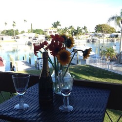 Christmas Eve 😊💜🎄🎁 #christmaseve #christmas #december #champagne #flowers #myview #condo #florida #stpete #family #boats #ocean #love #drinks #outside