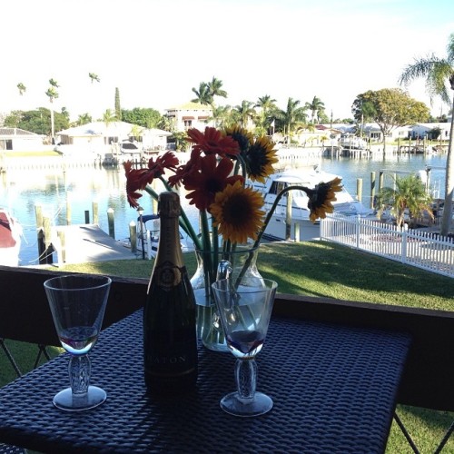 Christmas Eve 😊💜🎄🎁 #christmaseve #christmas #december #champagne #flowers #myview #condo #florida #stpete #family #boats #ocean #love #drinks #outside