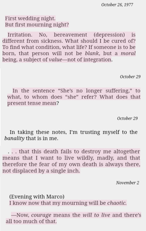 Nearly random screenshots from Roland Barthes’ Mourning Diary