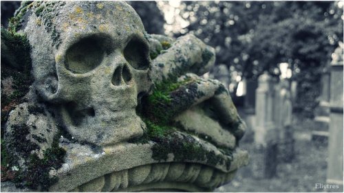 taphophilia: Friedhof Sankt Peter in Straubing by Eliytres666