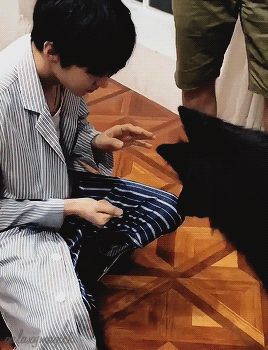 galaxymagick:아 귀여워! ~ ♡