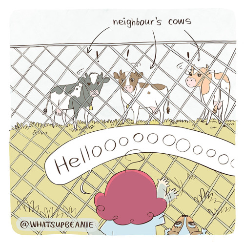 whatsupbeanie:Our neighbours had cows and every now and again I would run up to the fence to visit t