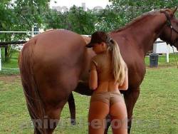 hermanjong:  Sexy this beatifull girl looking at the big cock of the horse…just looks she is fasinated