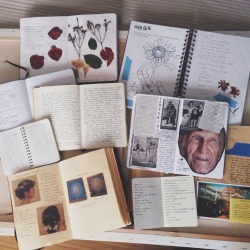 avocavo:  journals of 2014  ig: valereecat 