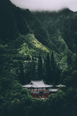 banshy:  Untitled by Jason Ko 