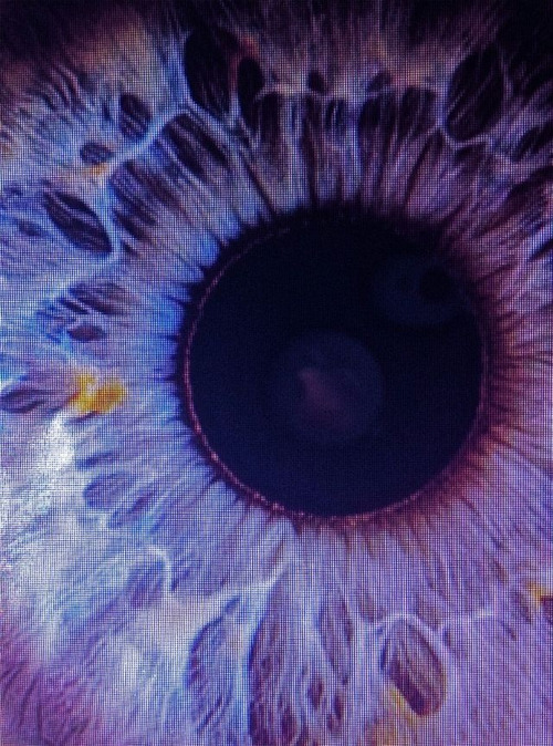 daisyhoplininhignest:  .
