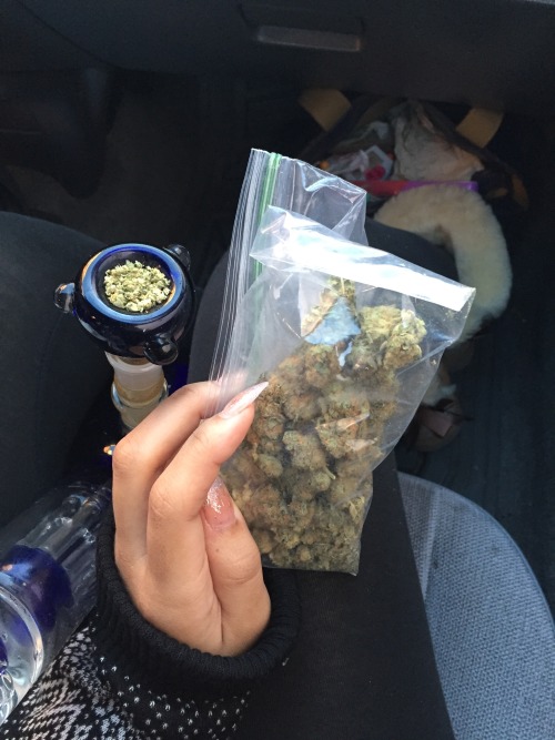 got weed!? got blunt!?