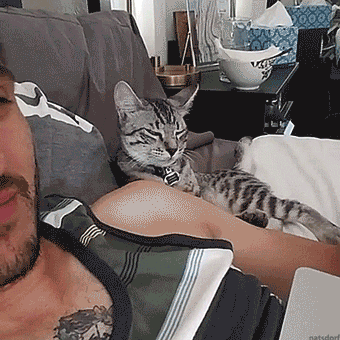thenatsdorf:Leaning forward for chin rubs. [source]