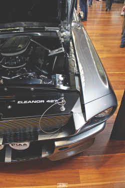 happinessbythespoops:  Eleanor. Photo by: