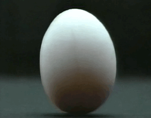 I made a gif of the egg cracking in the opening adult photos