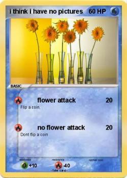 The new pokemon cards