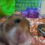 mucuuus