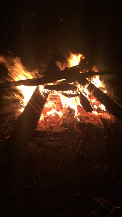 Enjoying the fire, tunes, beer, and puppy cuddles! Just missing one thing 😊