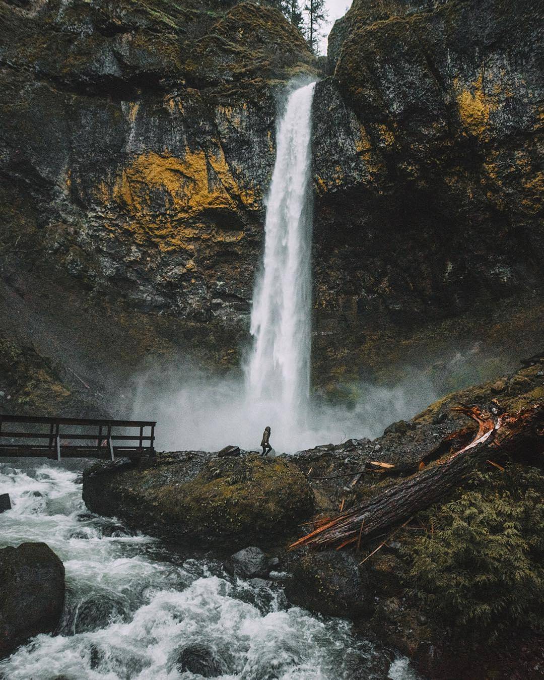 Oregon Explored — || Photo from @colbyshootspeople || When the...