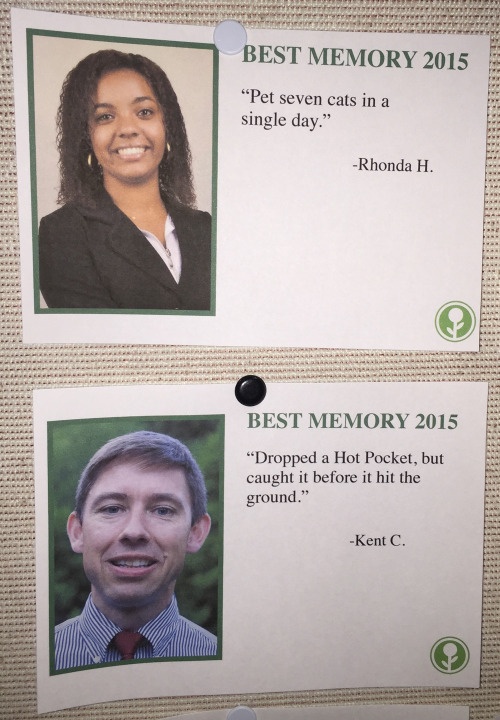 obviousplant: I wrote some fake ‘Best Memories of 2015′ and left them on a communi