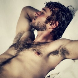 Hairy Men Heaven