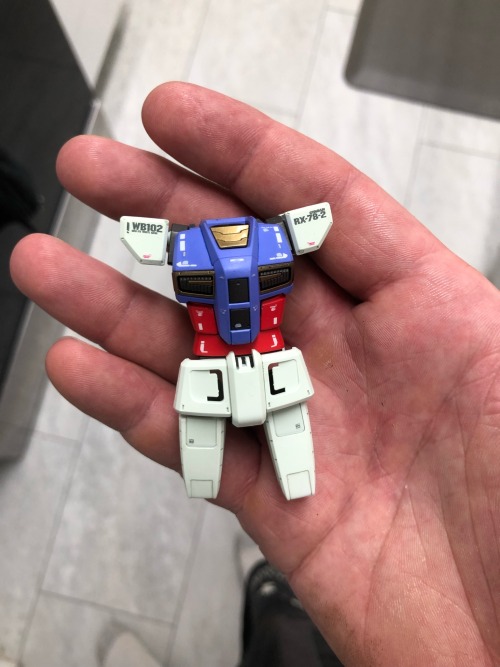 Out Of All The Color Choices Ive Made For My Gundams. This Is Becoming My Favorite. Panel Lining With