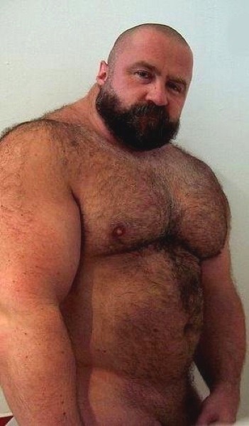 massiveauthorhandscalzone:bigbearbrasil:Incredible