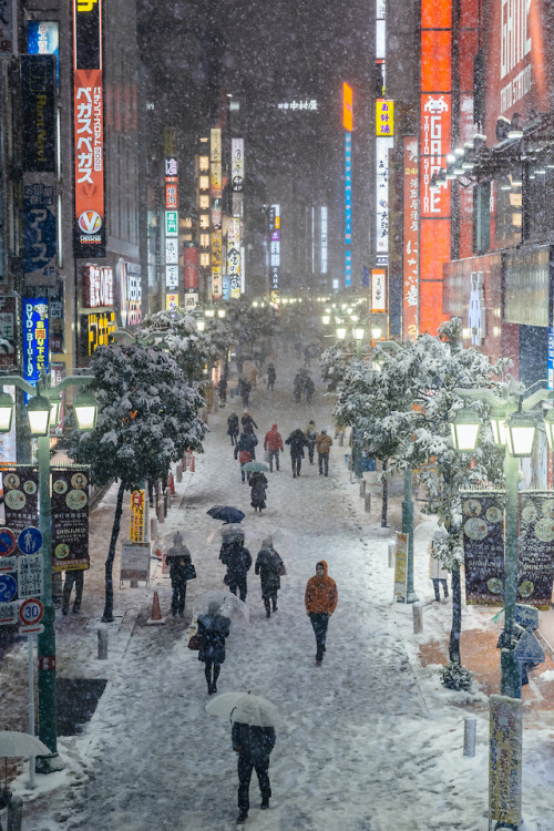 Snow in Shinjuku, Tokyo  instagram : @446ihttps://www.446i-jp.com/