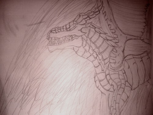 Tried Sketching Up A Mudwing