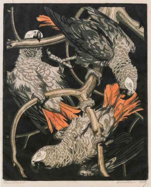 art-and-things-of-beauty:  Coloured Linocuts of Birds by Norbertine Bresslern-Roth (Austrian, 1891-1978). 