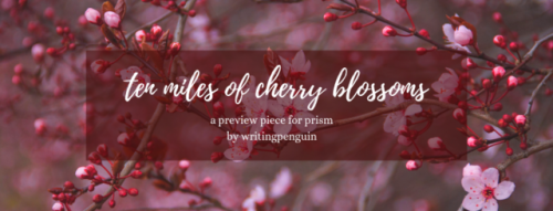 theaveragepenguin: posting a preview of my piece, ten miles of cherry blossoms, for Prism: @yoi
