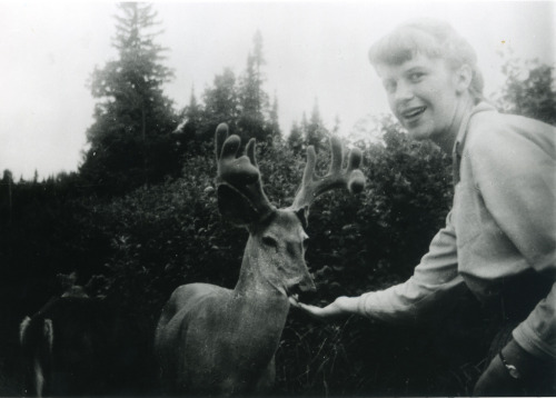 goghflora:sylvia plath, feeding a deer in 1959. this picture was taken by her husband, the poet ted 