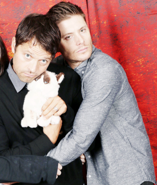 flydestiel:  photo credit 