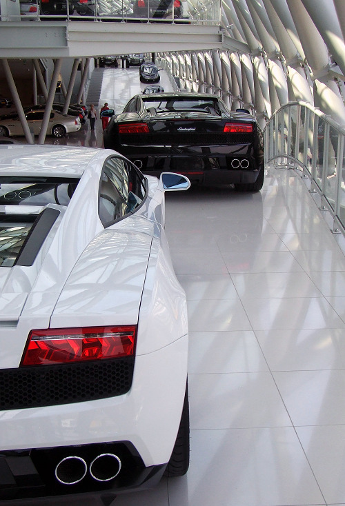 wearevanity:  Sports Car heaven | Source | WAV 